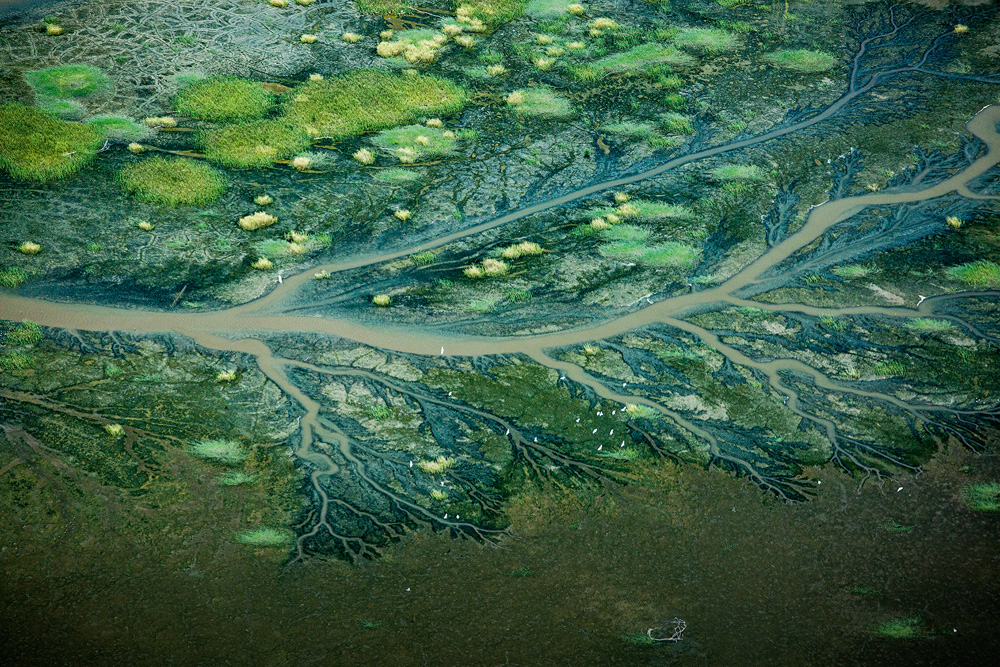 Foto mostra Amazônia vista de cima.