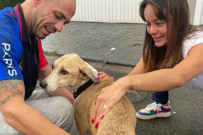 Reencontro de Reinaldo Junior com a cadela Pandora neste domingo (30), depois de 45 dias de desaparecimento (Reprodução-Instagram)