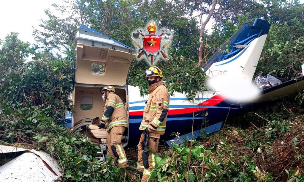 A imagem mostra avião caído em área de mata