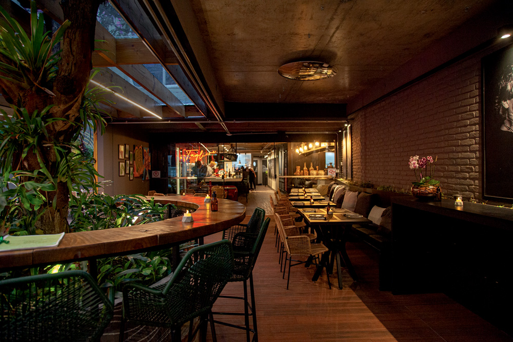 Ambiente de bar com balcão de madeiras e banquetas altas, mesas e estofados próximos a parede de tijolos expostos e árvores e plantas no centro do salão