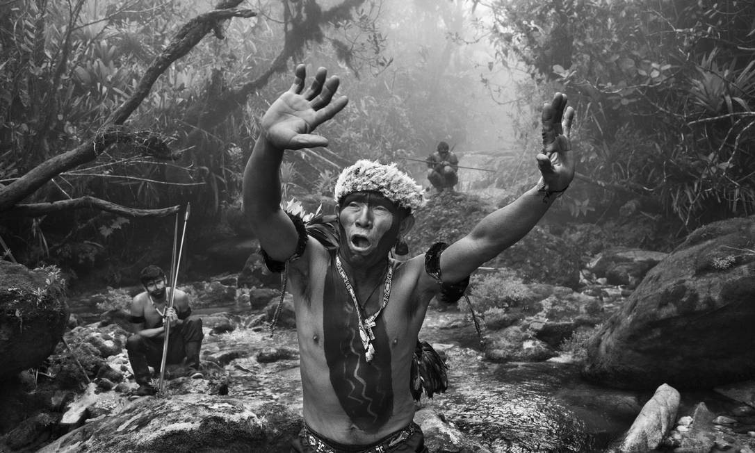 floresta-amazonica-exposicao Exposição de Sebastião Salgado sobre a Amazônia chega a São Paulo