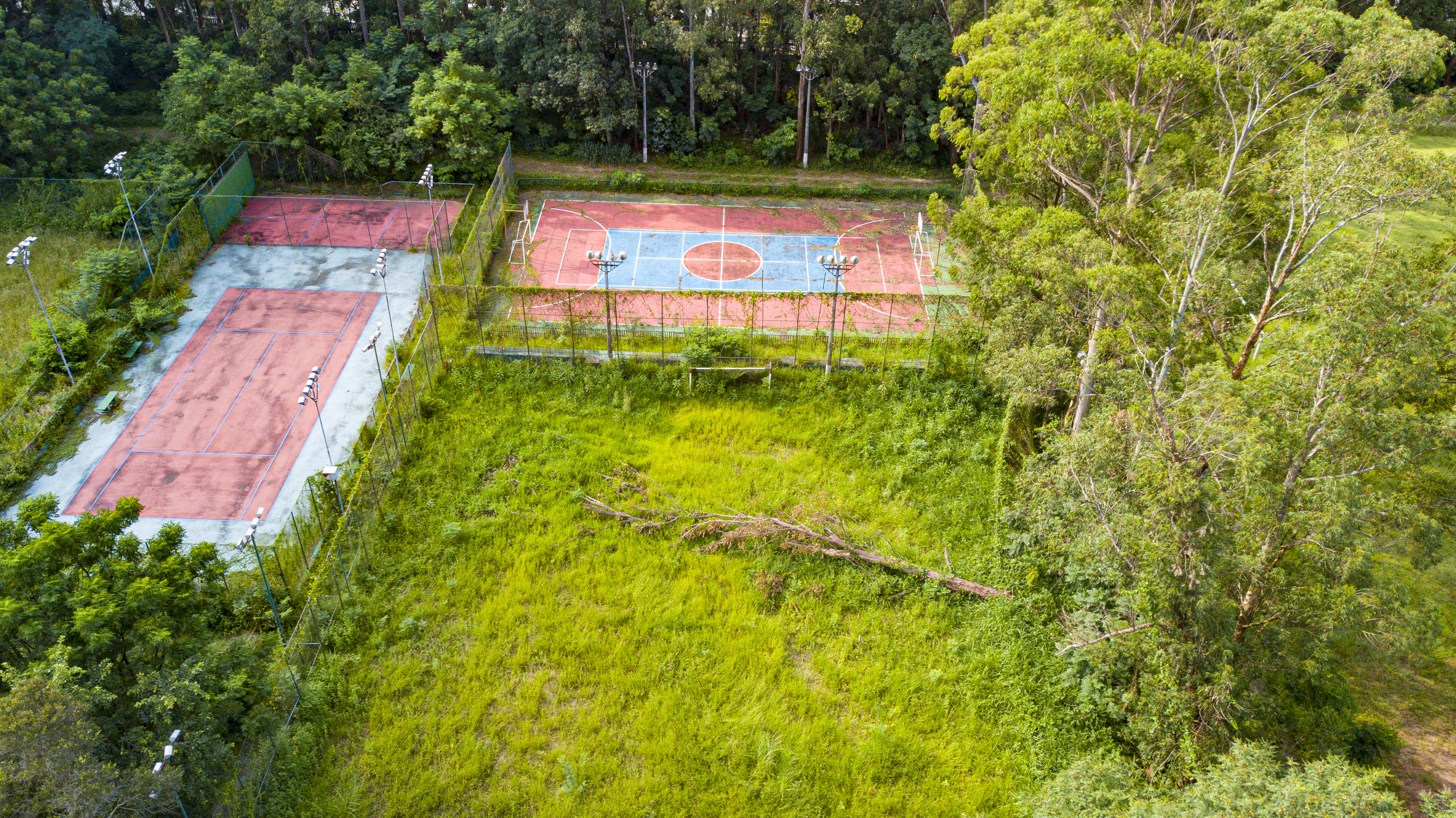 Imagem mostra vista aérea de campo de futebol tomado por mato, com árvore caída no meio do gramado, e uma quadra poliesportiva com marcações quase sumindo do chão