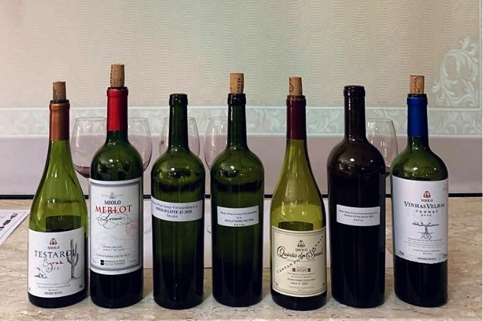 Diferentes garrafas de vinho dispostas lado a lado