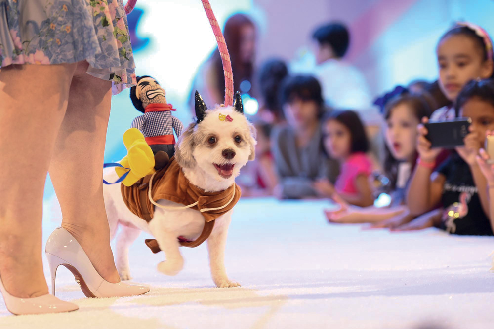 Shopping Pátio Higienópolis retorna com programação gratuita para pets