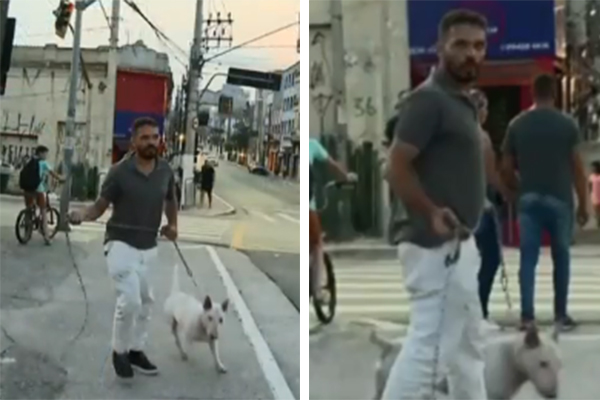 Imagem mostra dois frames de vídeo exibido em telejornal, que mostra homem segurando cachorro, e usando parte da corrente do animal para ameaçar equipe jornalística
