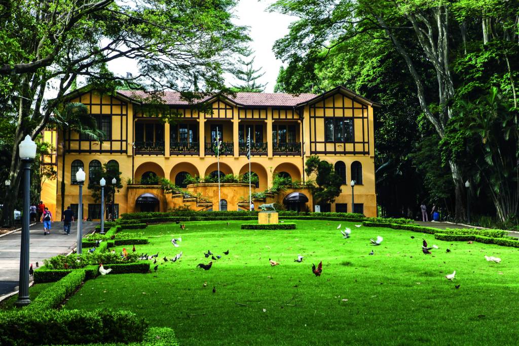 Imagem mostra casa amarela em frente a gramado.