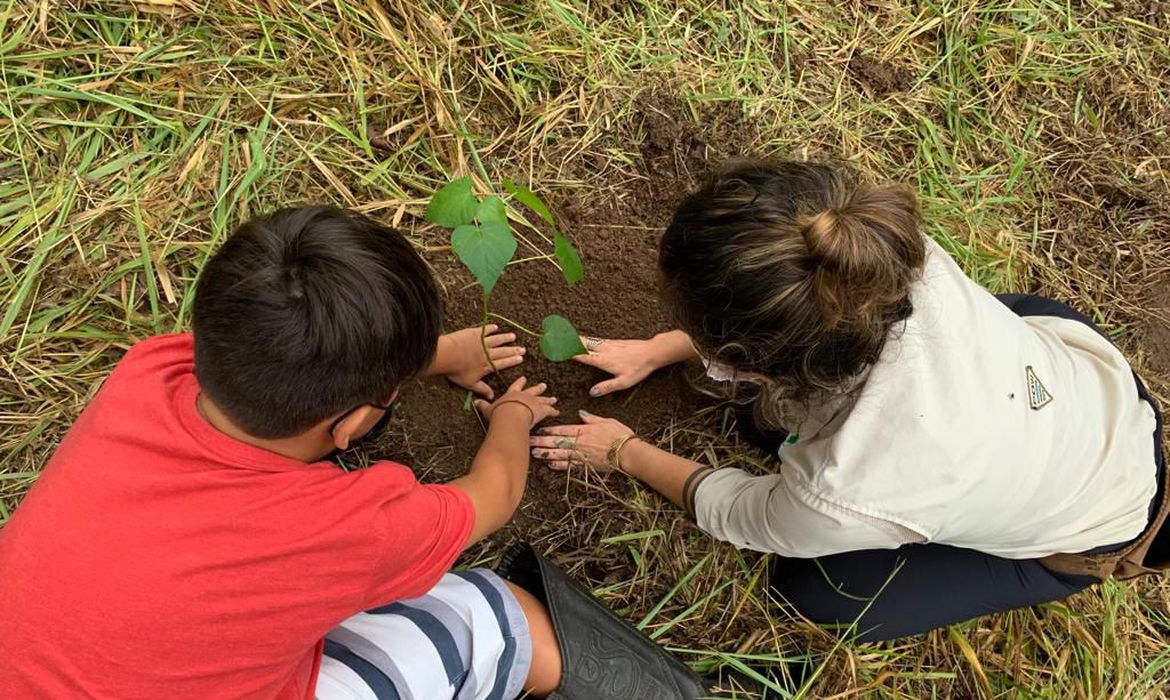 Imagem mostra duas crianças plantando uma muda de árvore