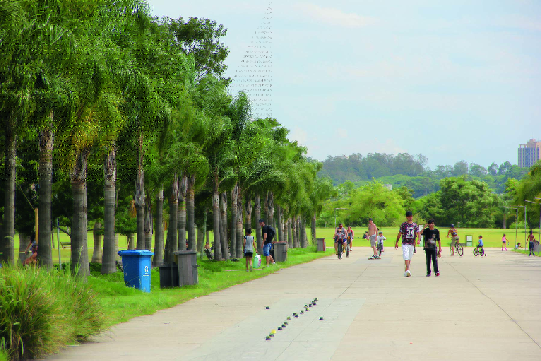 Imagem mostra espaço aberto com corredor de palmeiras e pessoas caminhando.
