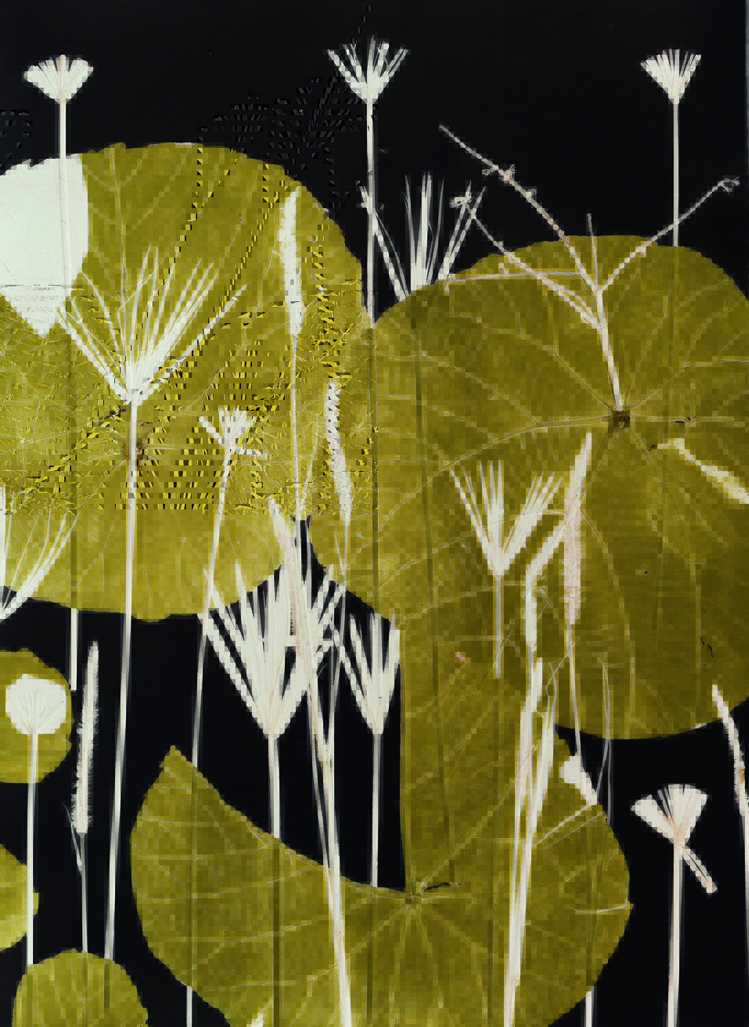 Imagem mostra pintura mostrando folhas em dourado, sobre fundo preto e com detalhes em branco.