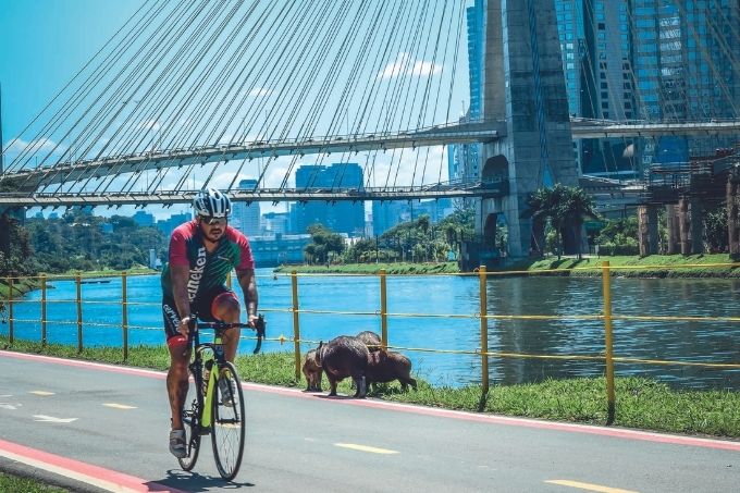 Ciclista Parque Bruno Covas