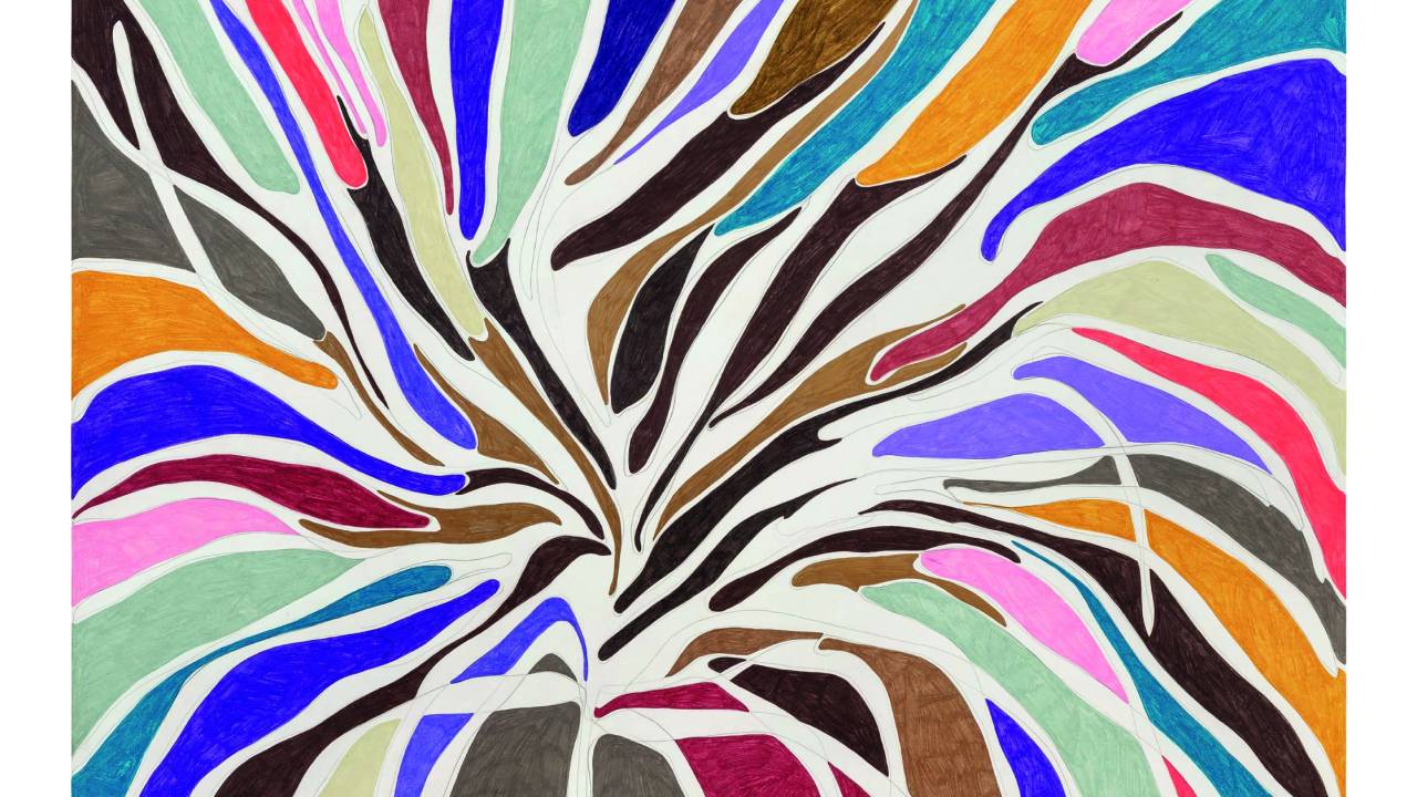 Desenhos de Marciade Moraes: umafloresta de cores