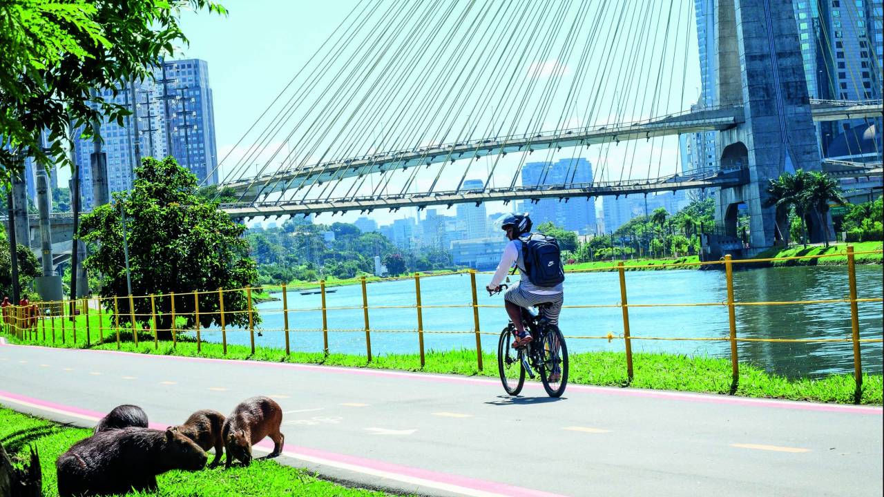 Ciclista passeia por ciclovia do Parque Bruno Covas, que será inaugurado em junho. Do lado direito, é possível ver o rio Pinheiros e do lado esquerdo, na grama, está uma família de capivaras. O dia está ensolarado e o céu bem azul