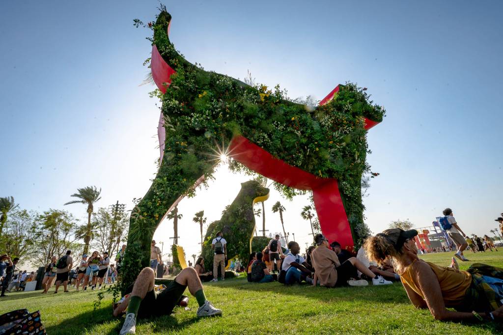 Cachorros Florais, por Oana Stănescu. Coachella 2022