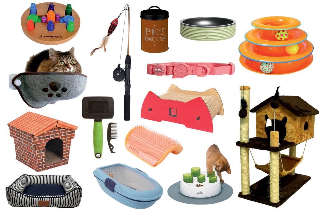 Mime o seu felino: brinquedos e tudo o mais para alegrar seu gato