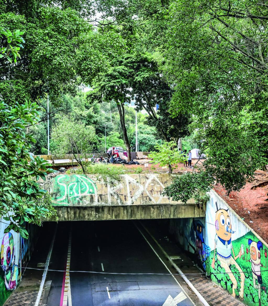 crocos_13.JPG Túnel José Roberto Franganiello Melhem