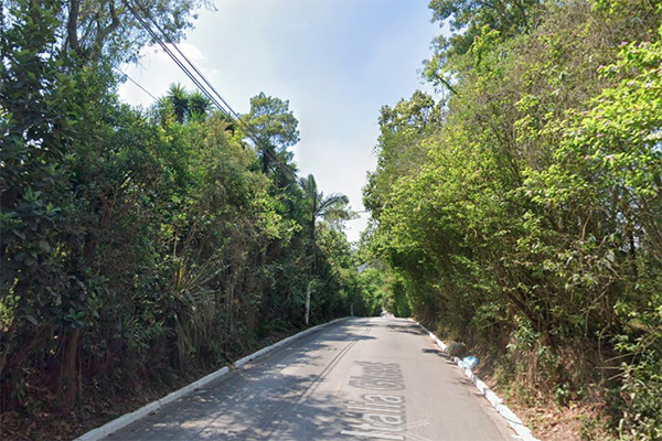 Imagem mostra rua com muita mata nos dois lados da rua