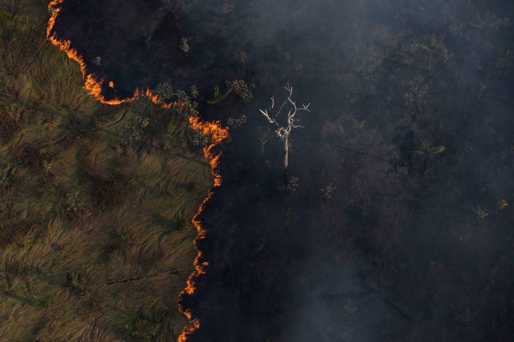 Imagem aérea mostra linha de incêndio em floresta