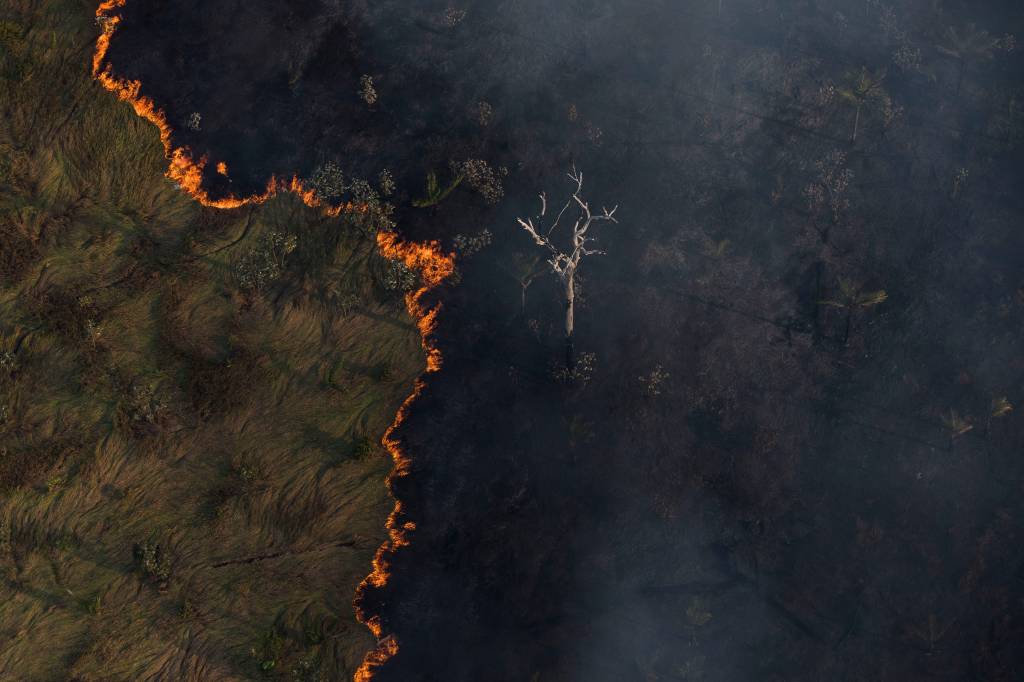 Desmatamento e Queimdas 2020 Imagem aérea mostra linha de incêndio em floresta
