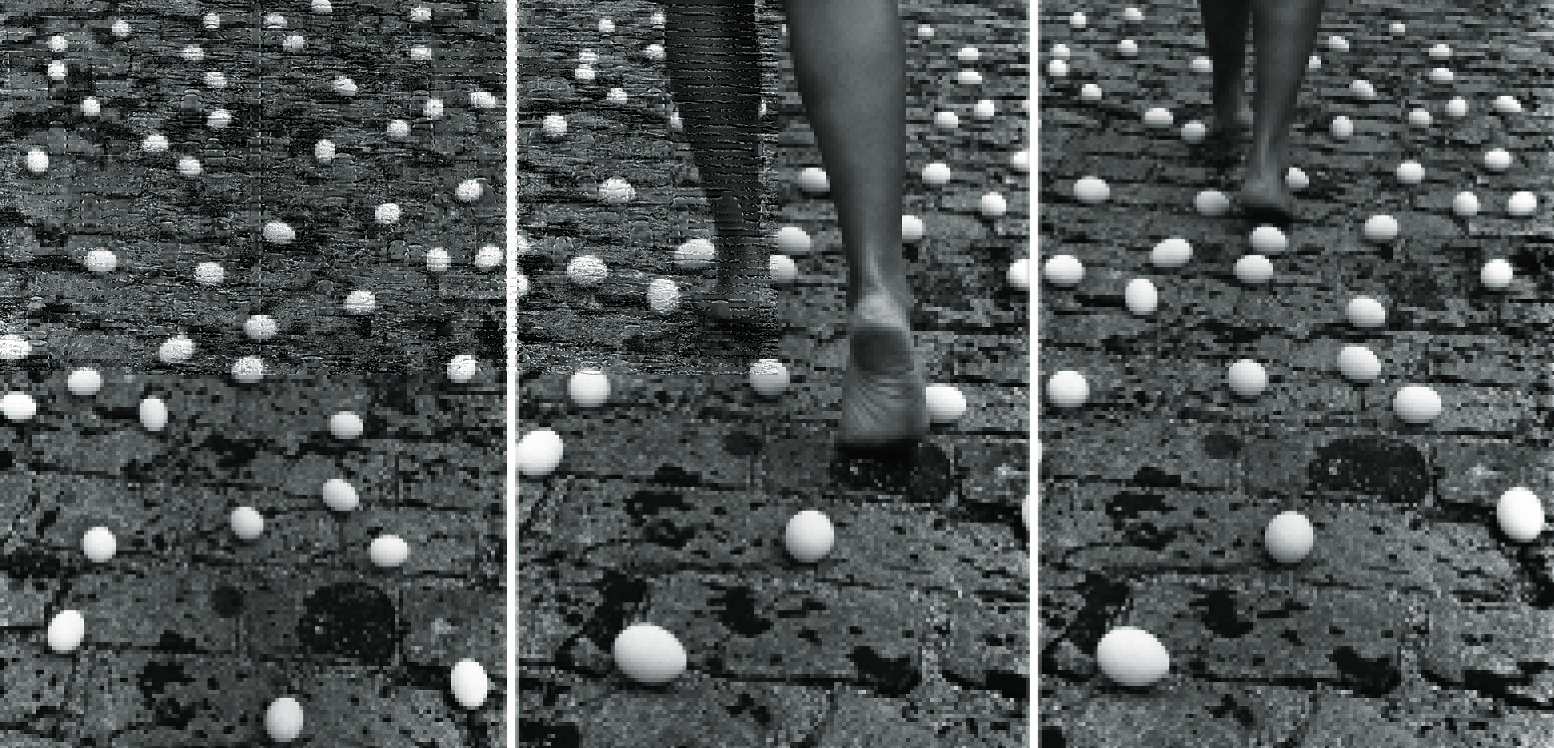 Imagem em preto e branco mostra três fotos de chão com ovos. Na foto do meio, pernas de uma pessoa caminhando sobre o chão.
