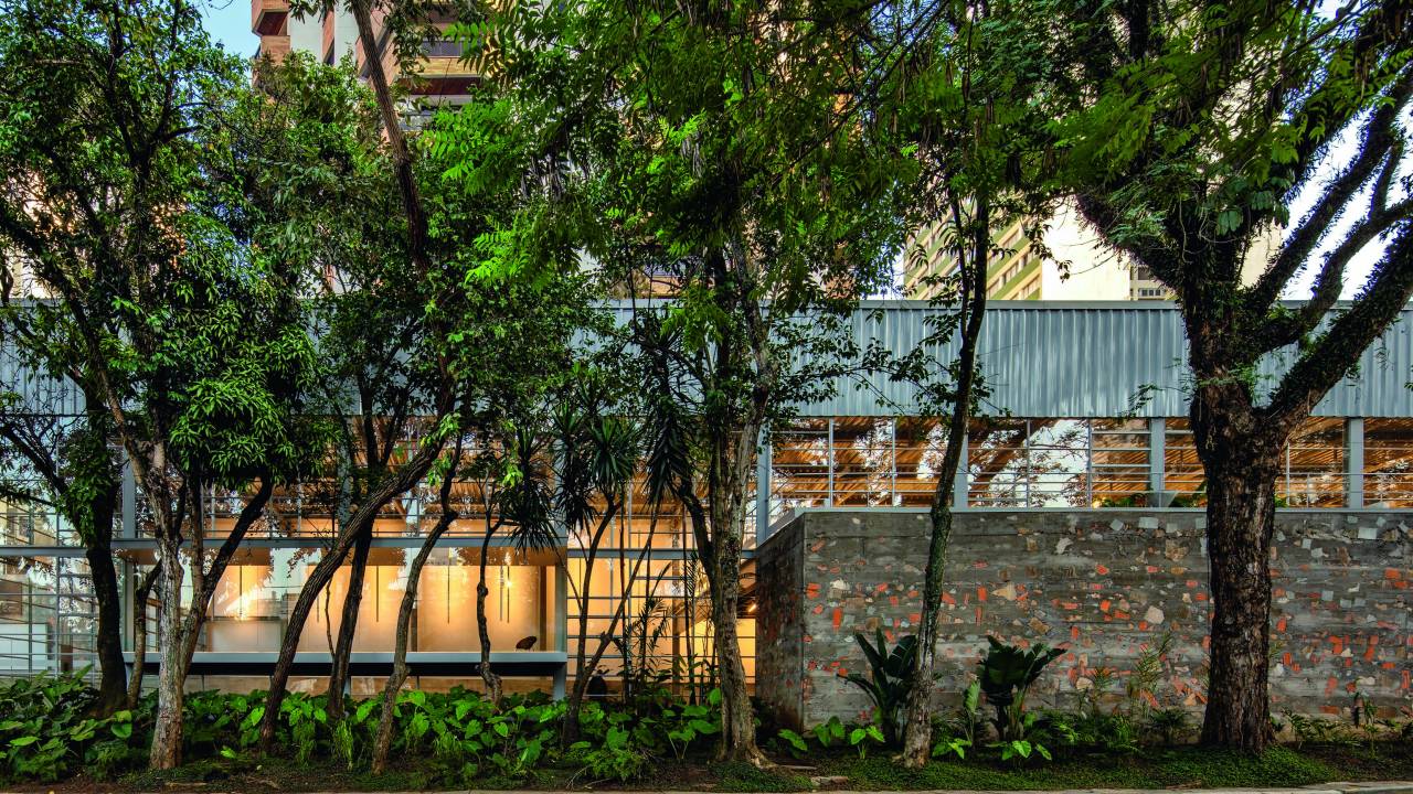 Imagem mostra fachada envidraçada de edifício coberta por árvores.