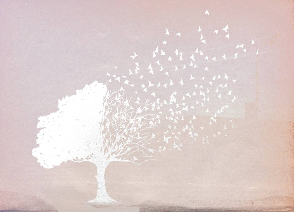 Desenho de folhas se desprendendo de uma árvore e voando, como pássaros. Fundo rosa e desenho em branco.