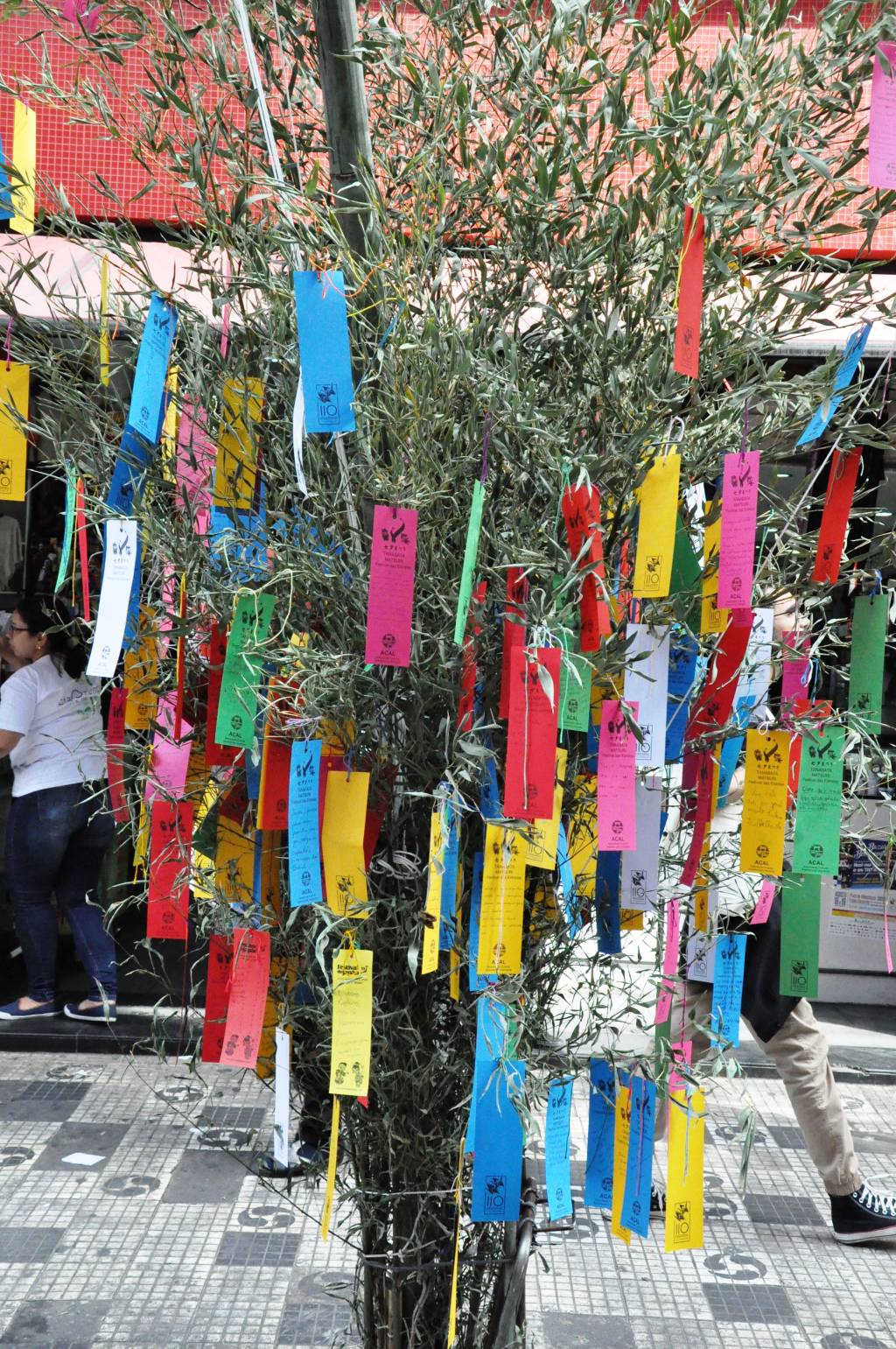 Tanzakus, tradicionais pedaços de papeis coloridos, pendurados no bambu