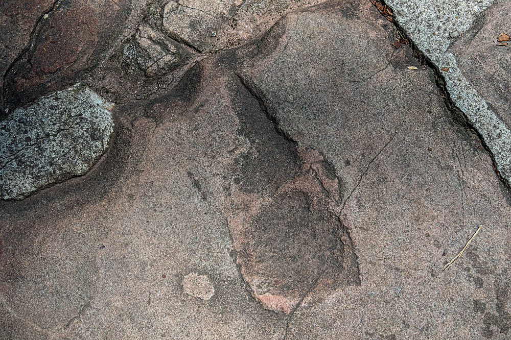 Pegada de dinossauro em pedra no chão