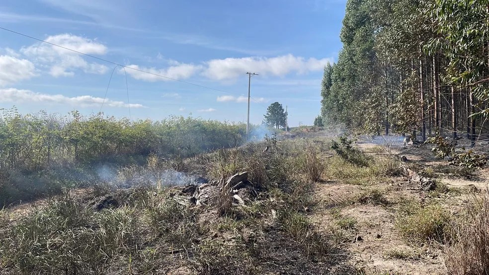 destroços de avião no meio da mata