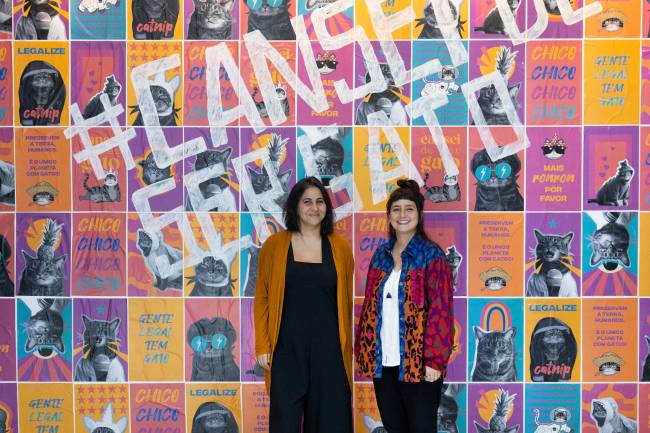 Cansei de Ser Gato ganha primeira loja física na Rua Augusta