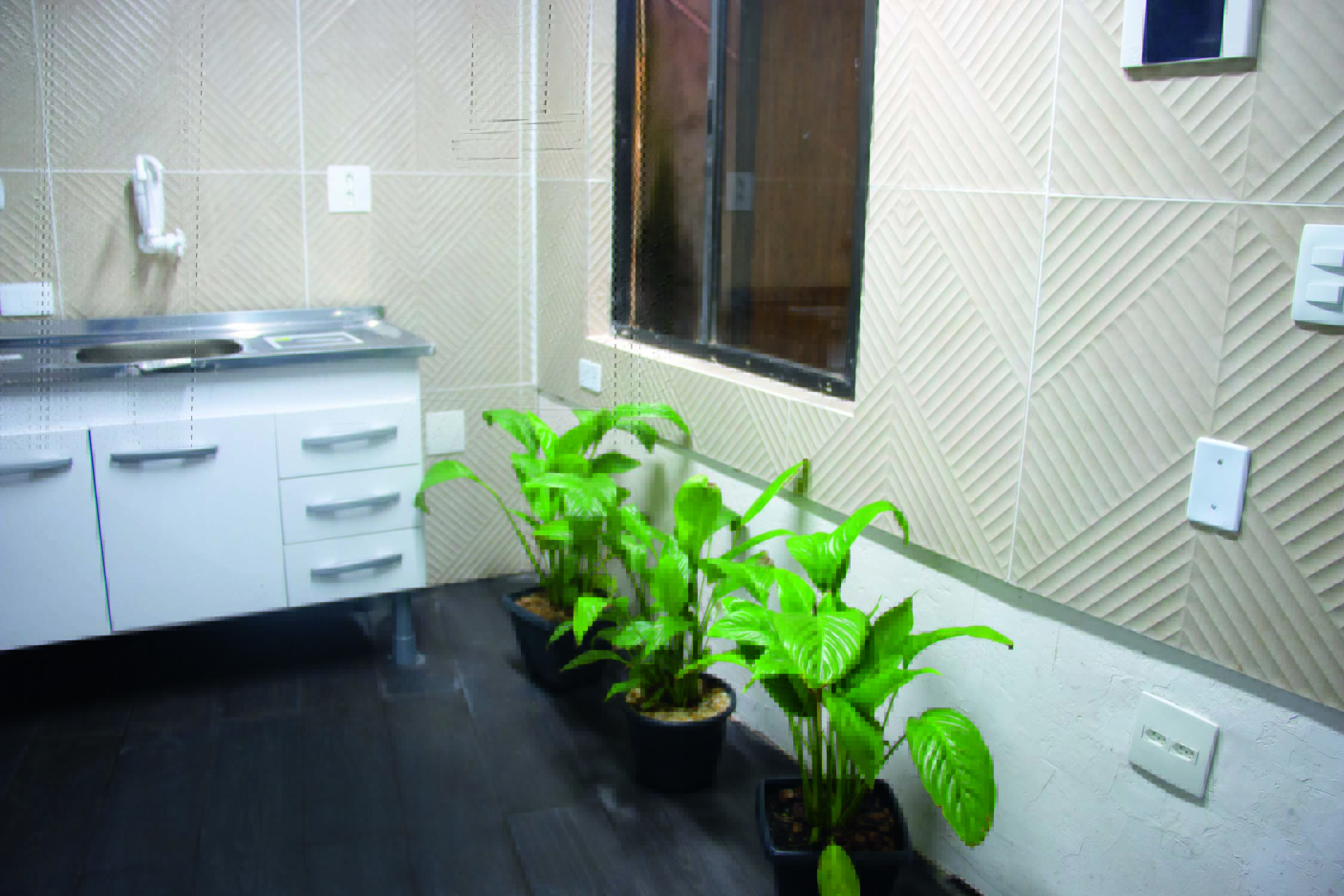 Imagem mostra diversos vasos de plantas no chão de cozinha com paredes com azulejos beges.