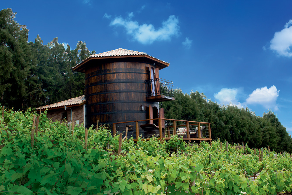 Chalé em formato de tonel de vinho aparece em meio a parreiral com céu azul de fundo.