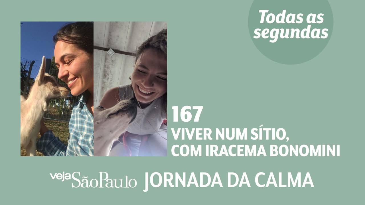 Jornada da Calma Episódio #167: viver num sítio, com Iracema Bonomini