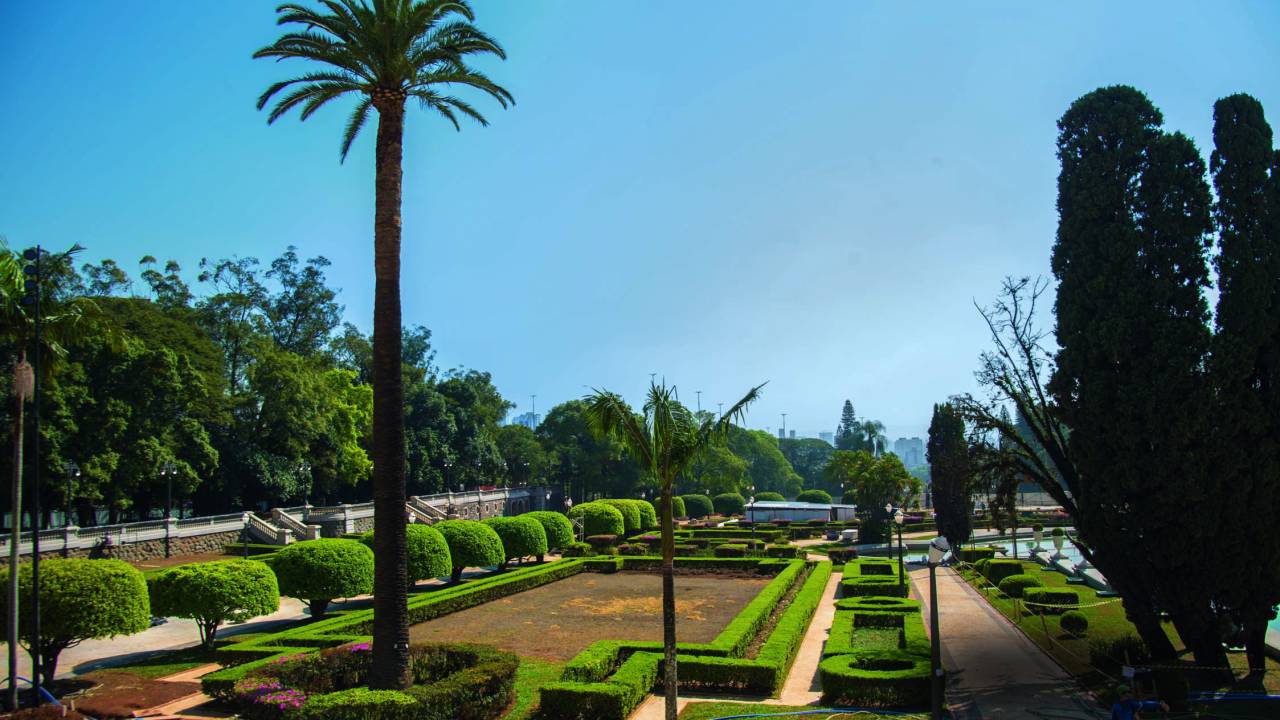 Imagem de jardim francês do Museu do Ipiranga com palmeira em destaque e céu bem azul.
