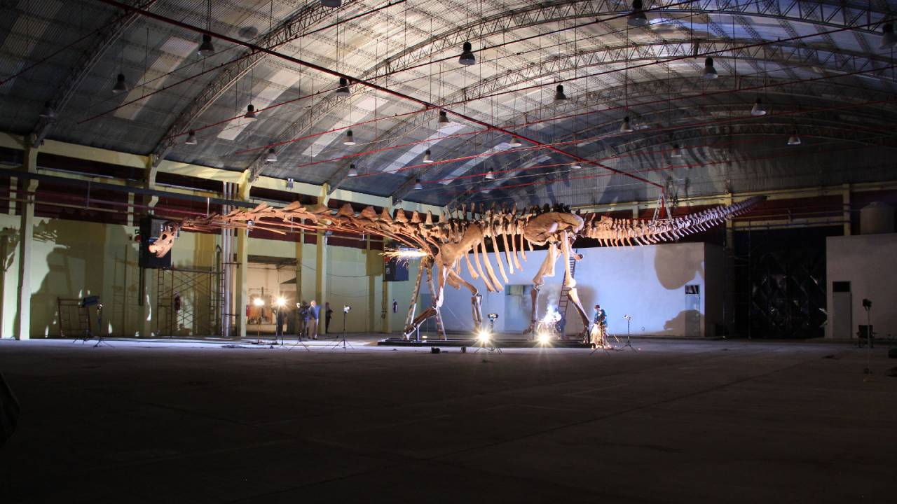 Foto mostra galpão com ossos de dinossauro Patagotitan, maior dinossauro do mundo
