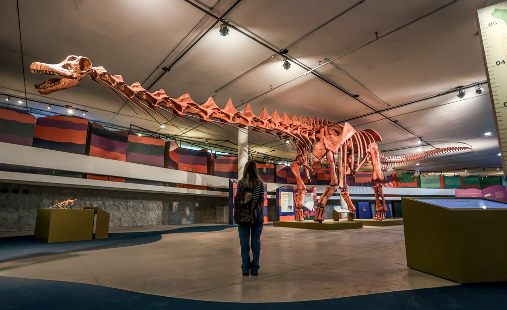 Menina magra e branca de costas olha para réplica de esqueleto gigante de dinossauro