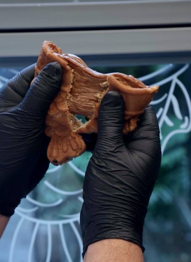 Taiyaki: tipo de waffle em formato de peixe dá graça ao sorvete Taiyaki: tipo de waffle em formato de peixe dá graça ao sorvete