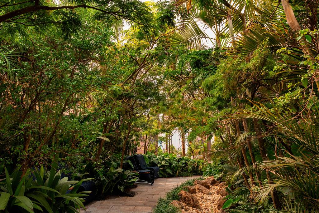 Spagnhol Paisagismo - Jardim Tropical. Espécies com diferentes tipos de folhagens, alturas e texturas compõem o jardim de Murilo Spagnhol, que estreia na CASACOR em 2022. “Essa diversidade, combinada ao paisagismo, buscou a representação de uma verdadeira floresta. A ideia é que as pessoas se desconectem da agitação da cidade para contemplar todo o espaço”. Ao inserir o ambiente natural no contexto urbano, o paisagista teve como inspiração a pluralidade das floretas tropicais brasileiras, como a Amazônica. Um pequeno lago e até os tons de azul do mobiliário reforçam a conexão com o meio ambiente e transmitem paz, serenidade. O uso de múltiplas espécies no paisagismo é marca dos projetos da Spagnhol Plantas Ornamentais, que cede toda a vegetação do jardim.