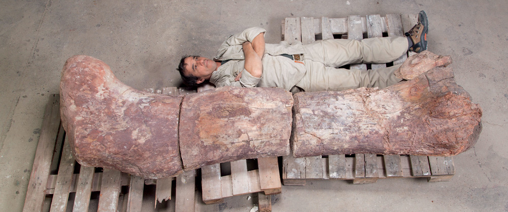 Técnico de macacão bege deitado ao lado de um fóssil gigante de fêmur de dinossauro