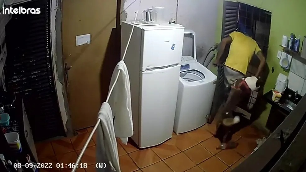 Vídeo mostra o momento exato em que invasor foi atacado por cão e pediu ajuda.