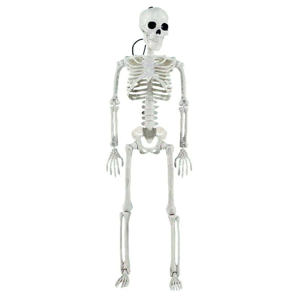 Esqueleto articulado de 40 cm