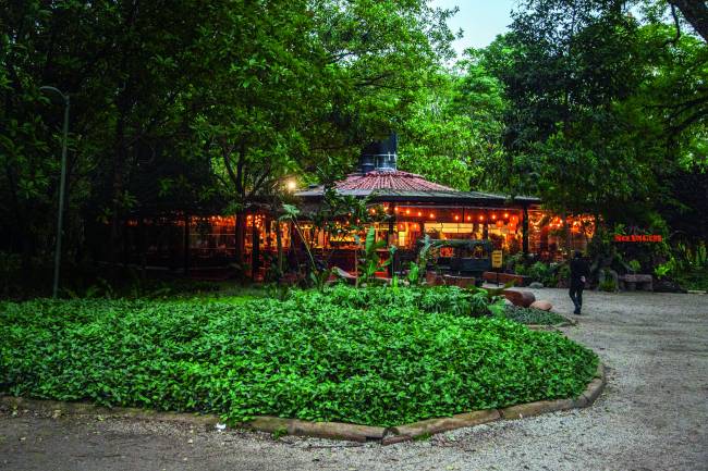 Fachada Selvagem restaurante tem forma circular e está em meio às árvores no Ibirapuera