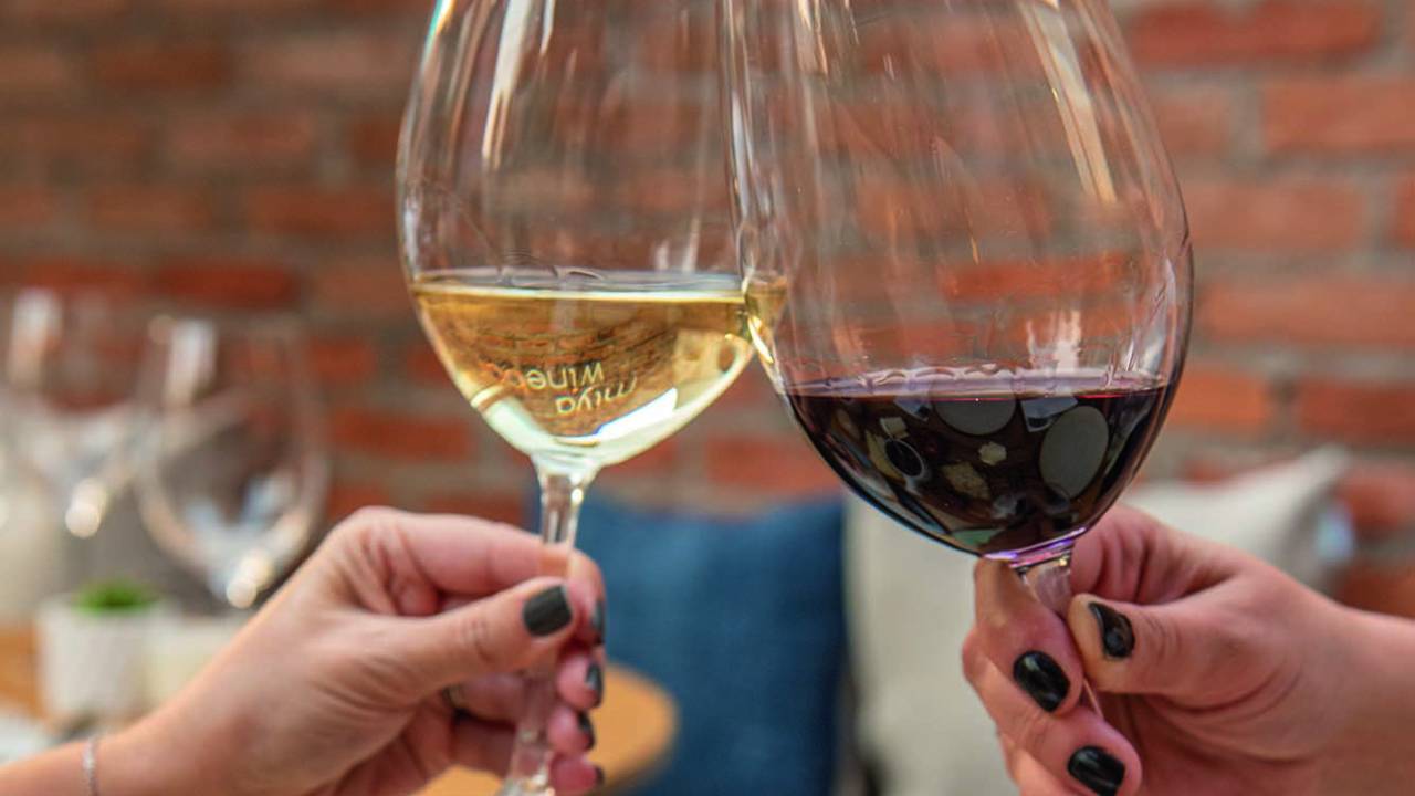 Uma taça contendo vinho tinto e uma contendo vinho branco seguradas por duas mãos saindo uma de cada lado da foto e em posição de brindar