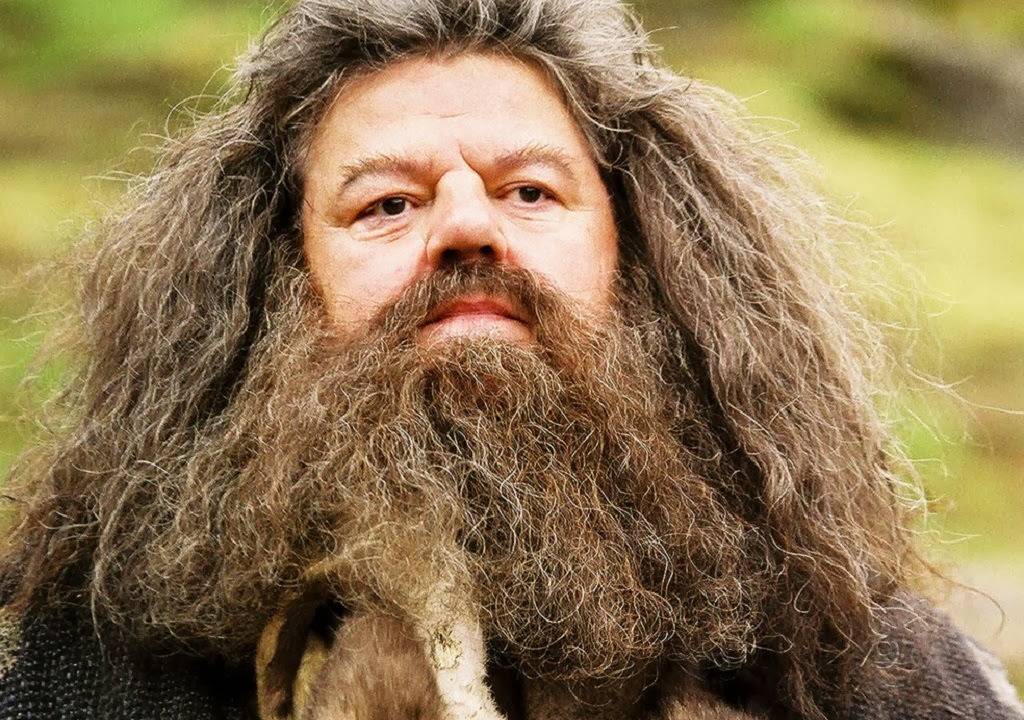 Robbie Coltrane, no papel de Hagrid, em 'Harry Potter'
