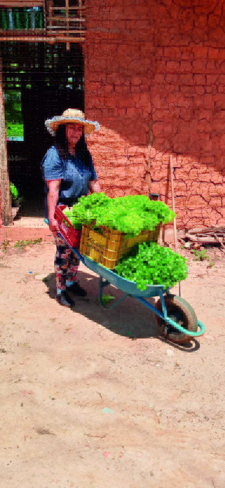 Imagem mostra mulher levando vegetais em carrinho de mão