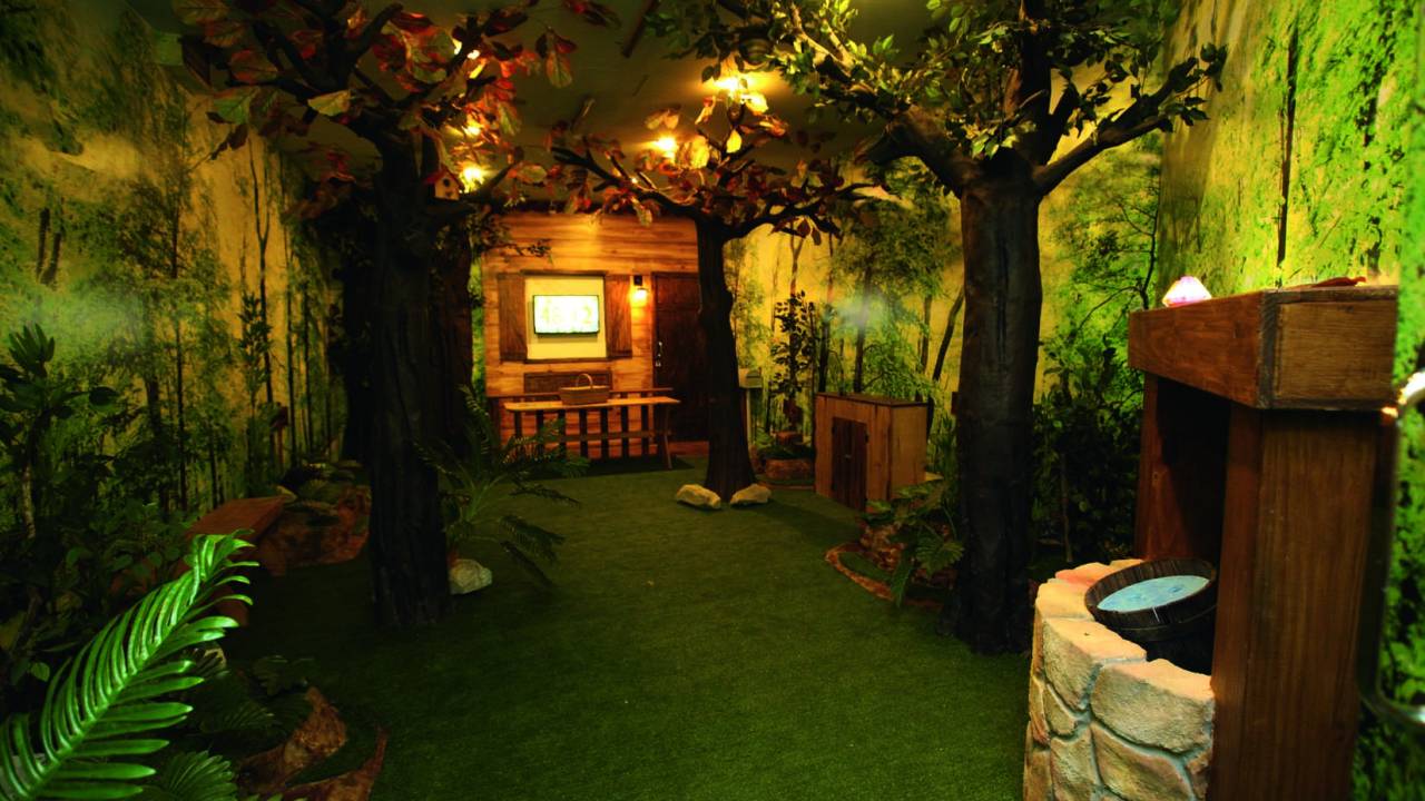 Sala de jogos do Luccas Neto, ambientada xomo uma floresta