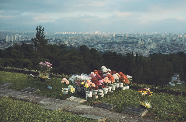 Imagem mostra cemitério com flores em túmulo, em primeiro plano, e uma cidade ao fundo