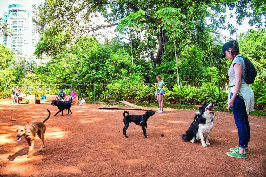 Cachorródromo