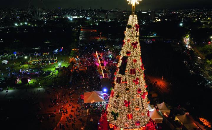 Natal em São Paulo: confira as atrações natalinas pela cidade