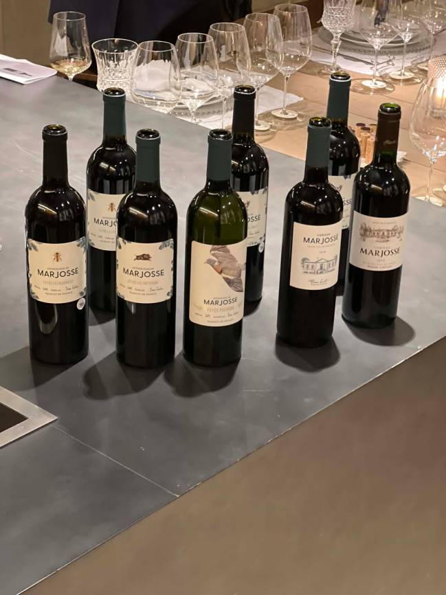 Vinhos exclusivos na importadora Mistral