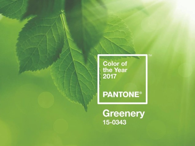 PANTONE 15-0343 Greenery: um tom fresco, moderno, amarelo- esverdeado, que lembra os primeiros dias da primavera, quando os verdes na natureza se renovam em novas folhagens. Reflete-se também na vontade do consumidor de respirar profundamente e uma vida ao ar livre.
